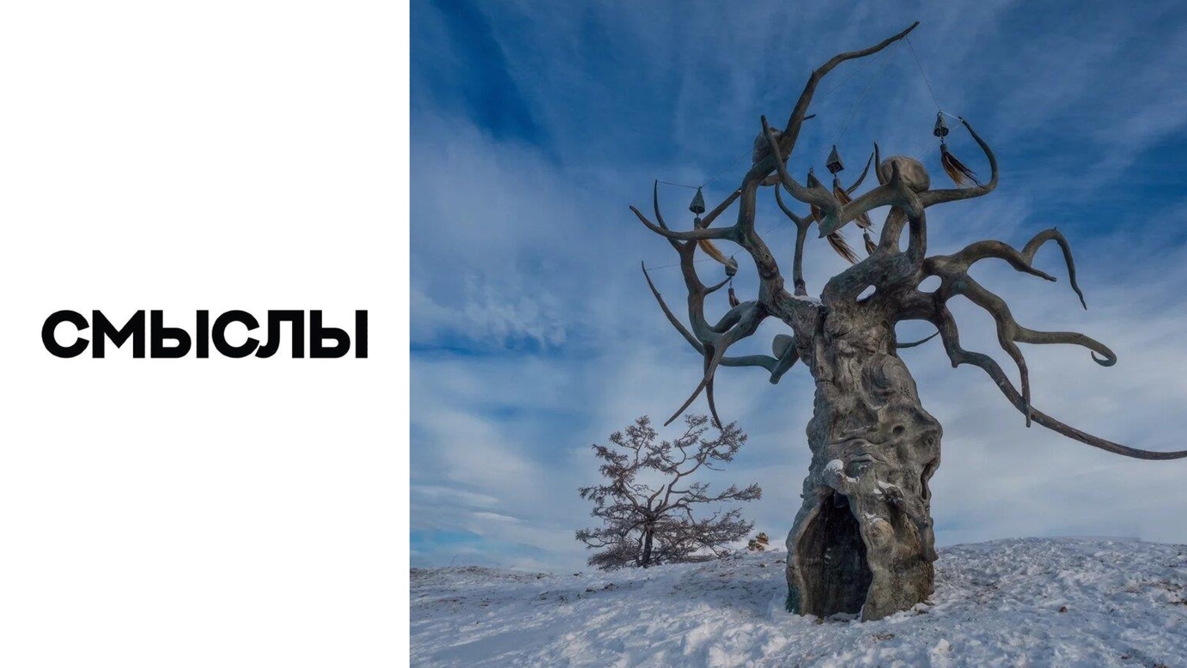 Удачливое солнце Даши Намдакова